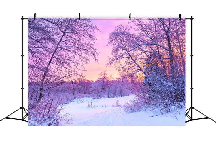 Pastel Winter Sunrise Snowy Forest Scene Backdrop UK BRP9-283