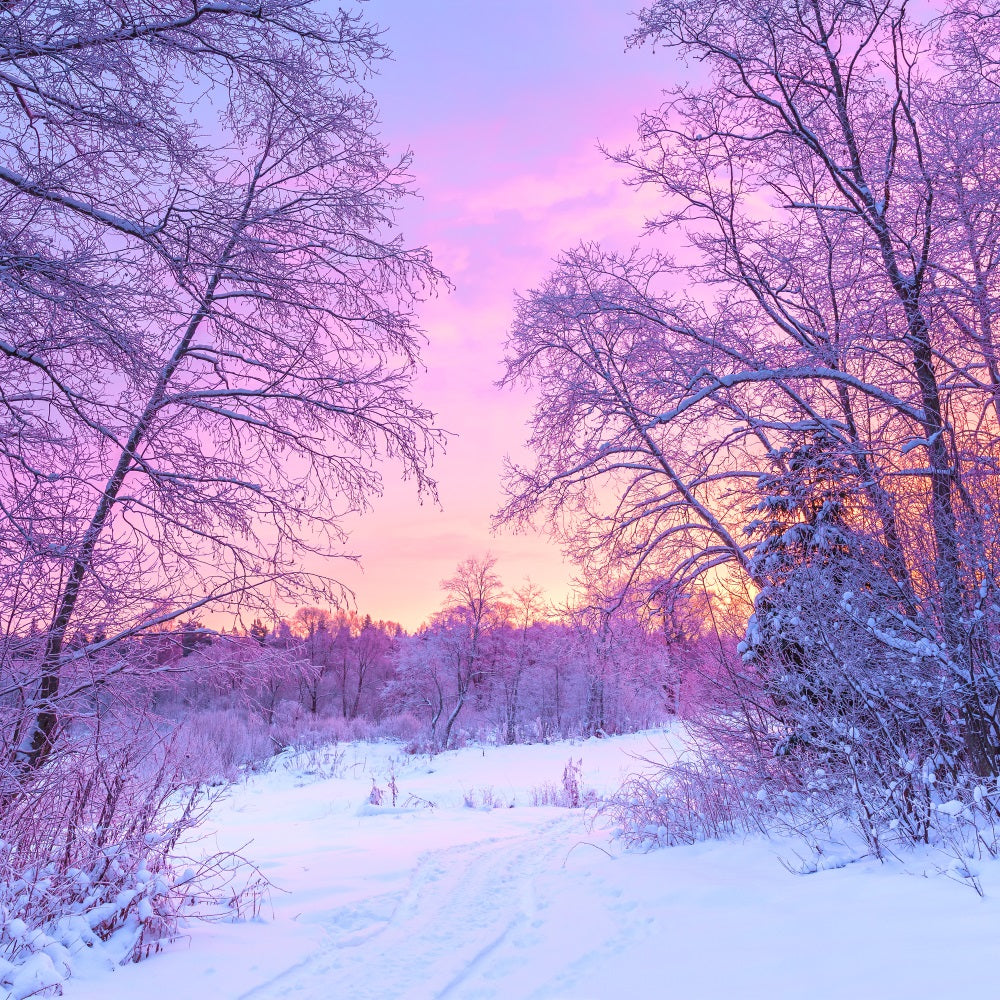 Pastel Winter Sunrise Snowy Forest Scene Backdrop UK BRP9-283