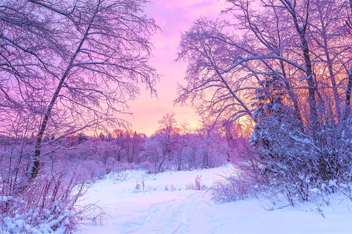 Pastel Winter Sunrise Snowy Forest Scene Backdrop UK BRP9-283