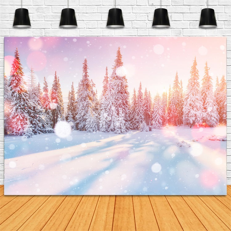 Morning Light Winter Snowy Pine Forest Backdrop UK BRP9-299