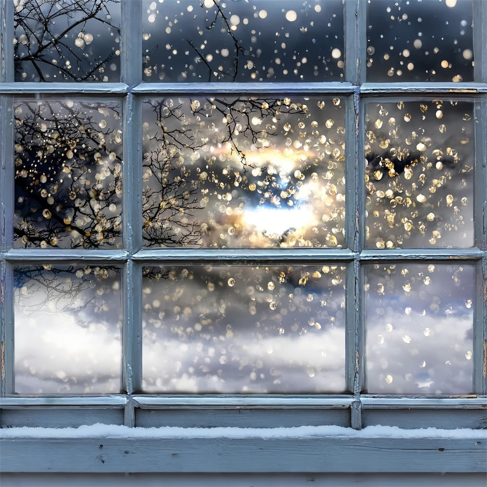 Glistening Winter Branches Through Window Backdrop UK BRP9-301