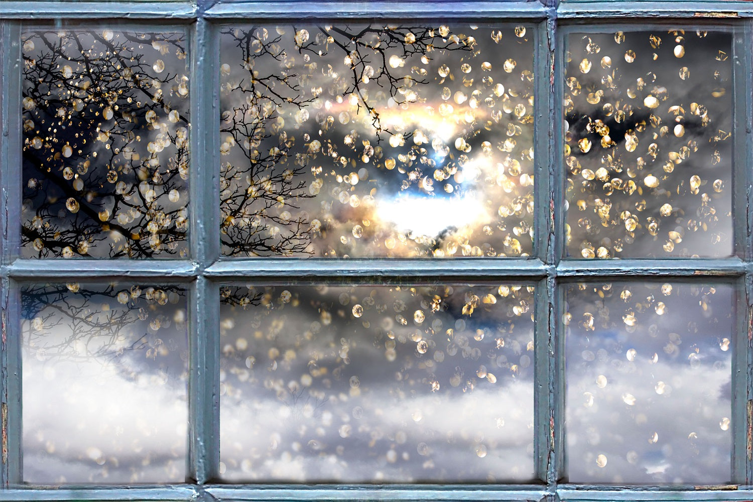 Glistening Winter Branches Through Window Backdrop UK BRP9-301