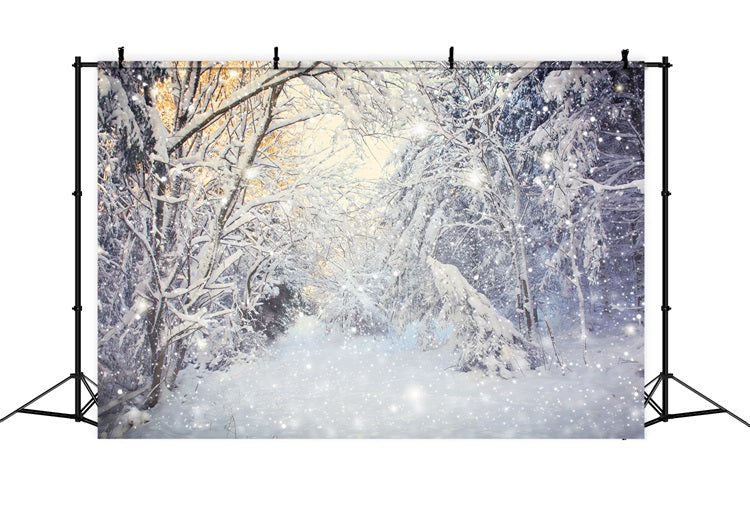 Winter Sparkling Forest Snowfall Scene Backdrop UK BRP9-318