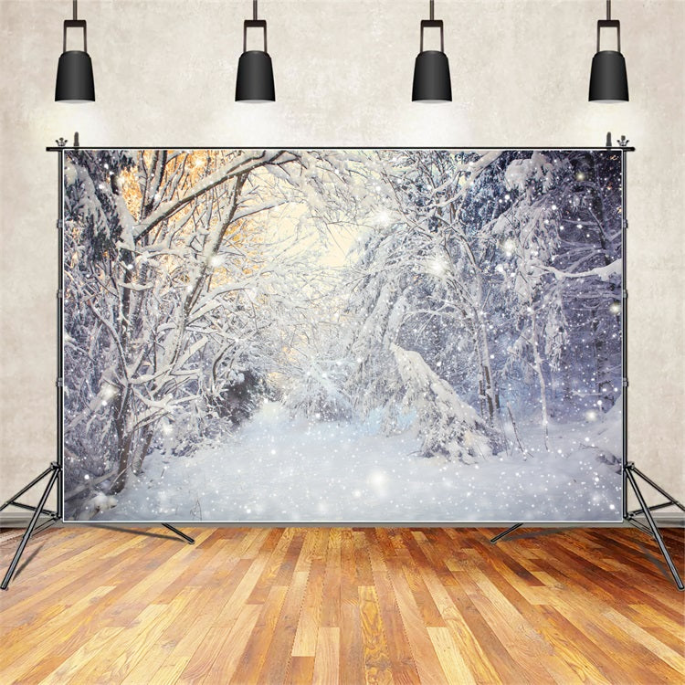 Winter Sparkling Forest Snowfall Scene Backdrop UK BRP9-318