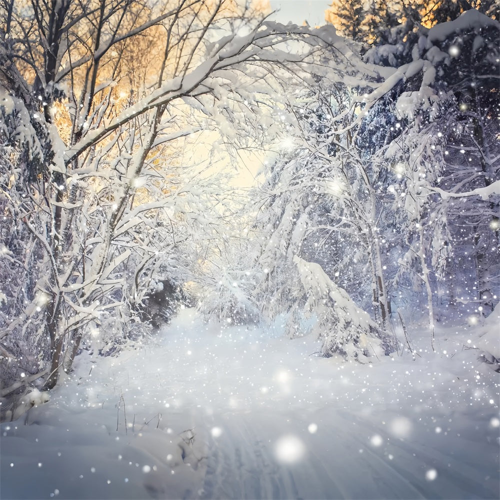 Winter Sparkling Forest Snowfall Scene Backdrop UK BRP9-318