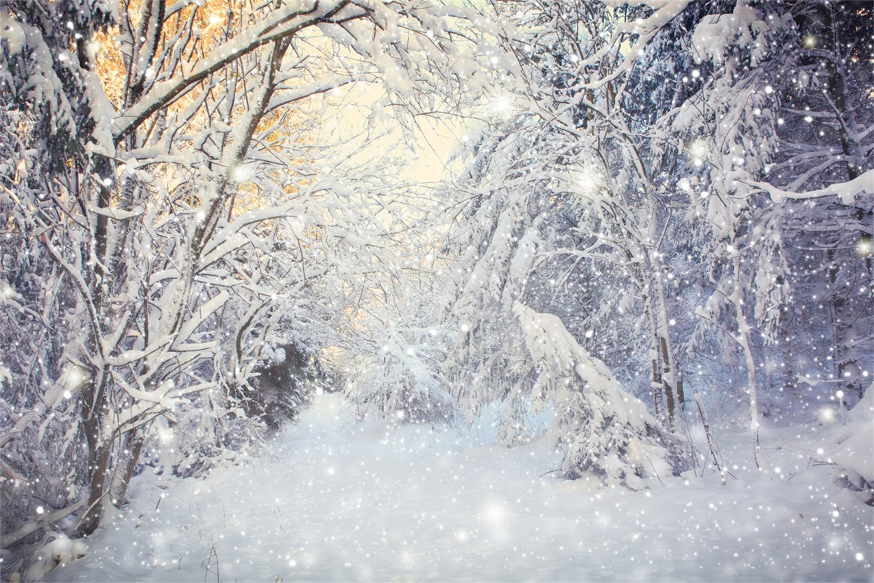 Winter Sparkling Forest Snowfall Scene Backdrop UK BRP9-318