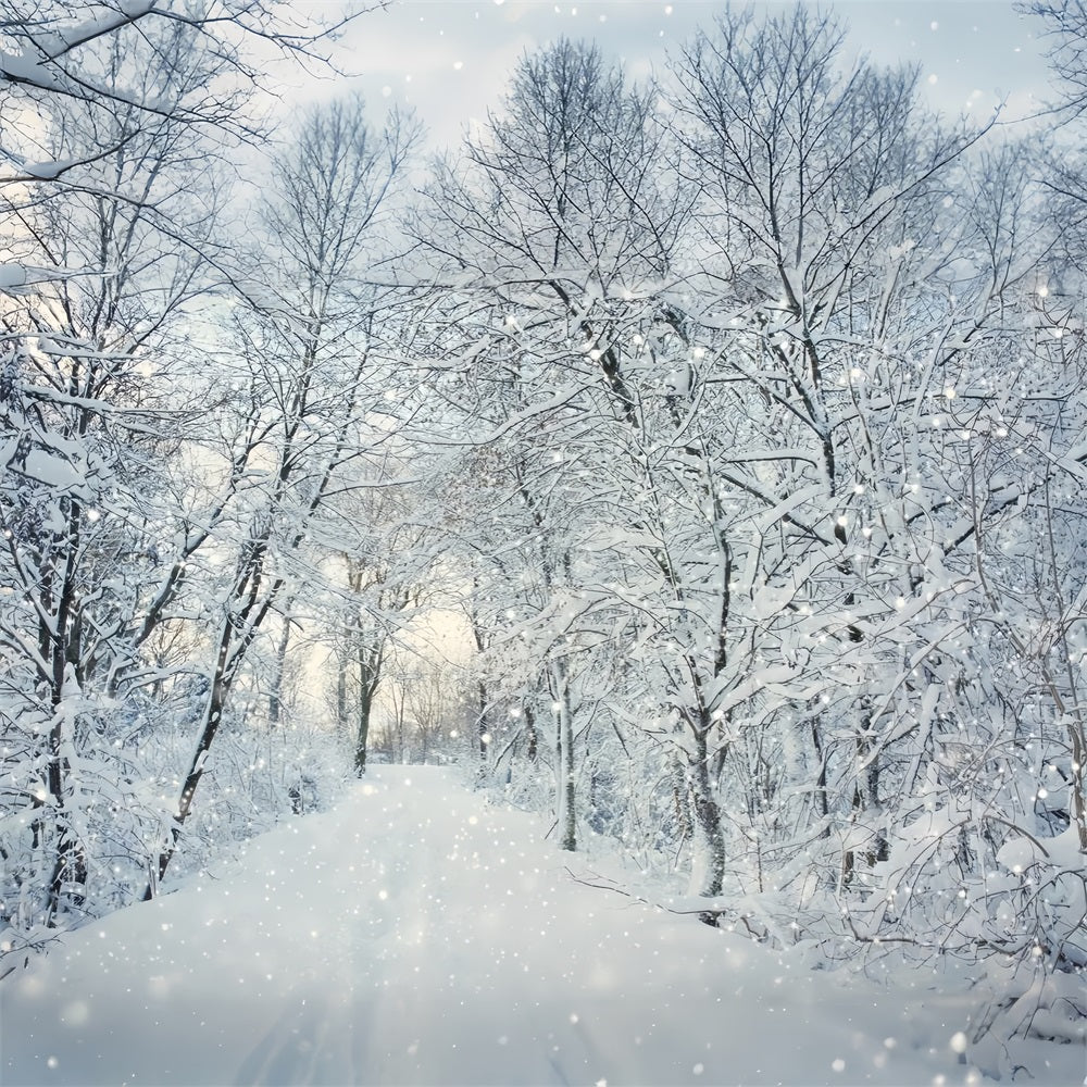 Magical Winter Forest Falling Snow Backdrop UK BRP9-319