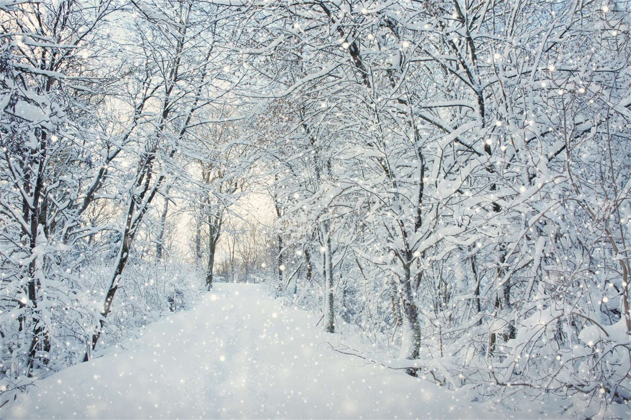 Magical Winter Forest Falling Snow Backdrop UK BRP9-319