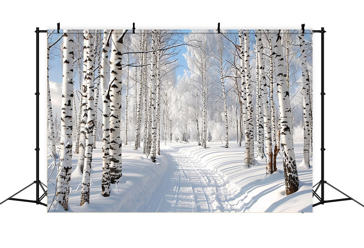 Snow Covered Path Through Winter Forest Backdrop UK BRP9-321