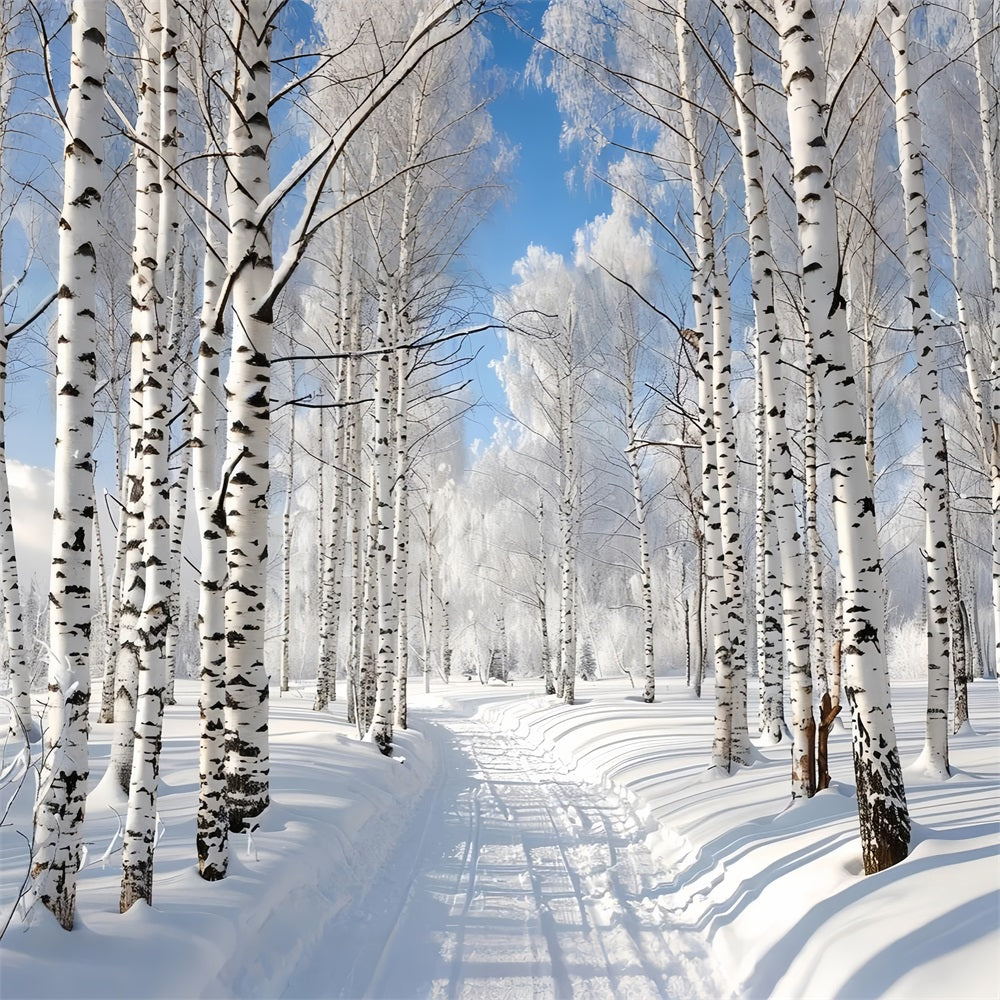 Snow Covered Path Through Winter Forest Backdrop UK BRP9-321