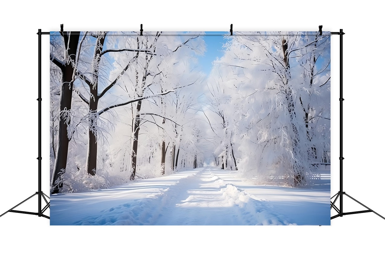 Frosty Winter Day Forest Path Photography Backdrop UK BRP9-322