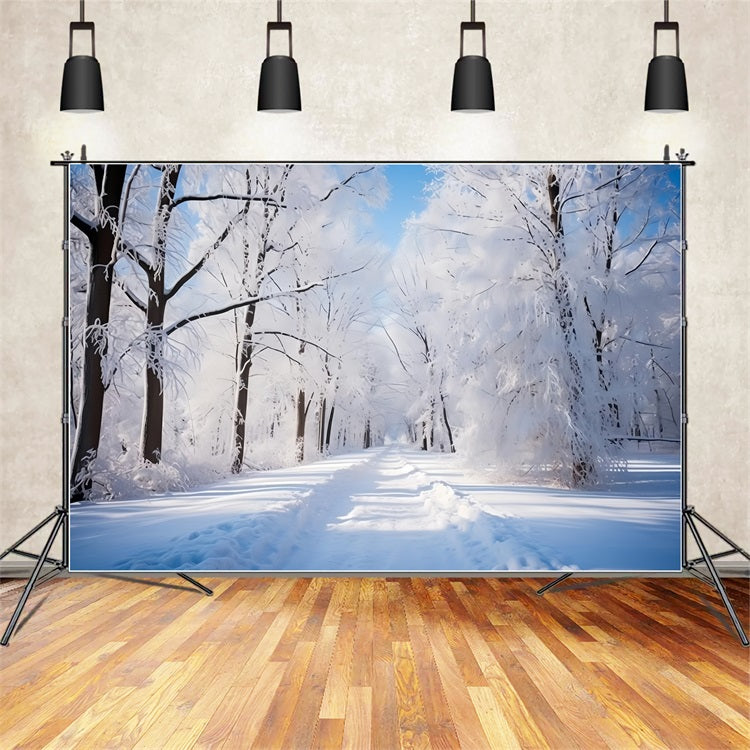 Frosty Winter Day Forest Path Photography Backdrop UK BRP9-322