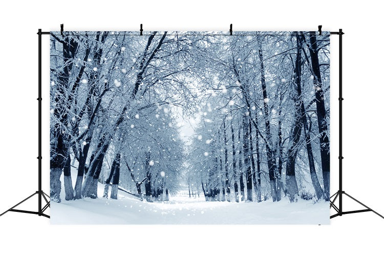 Snowy Path Enchanted Winter Forest Backdrop UK BRP9-324