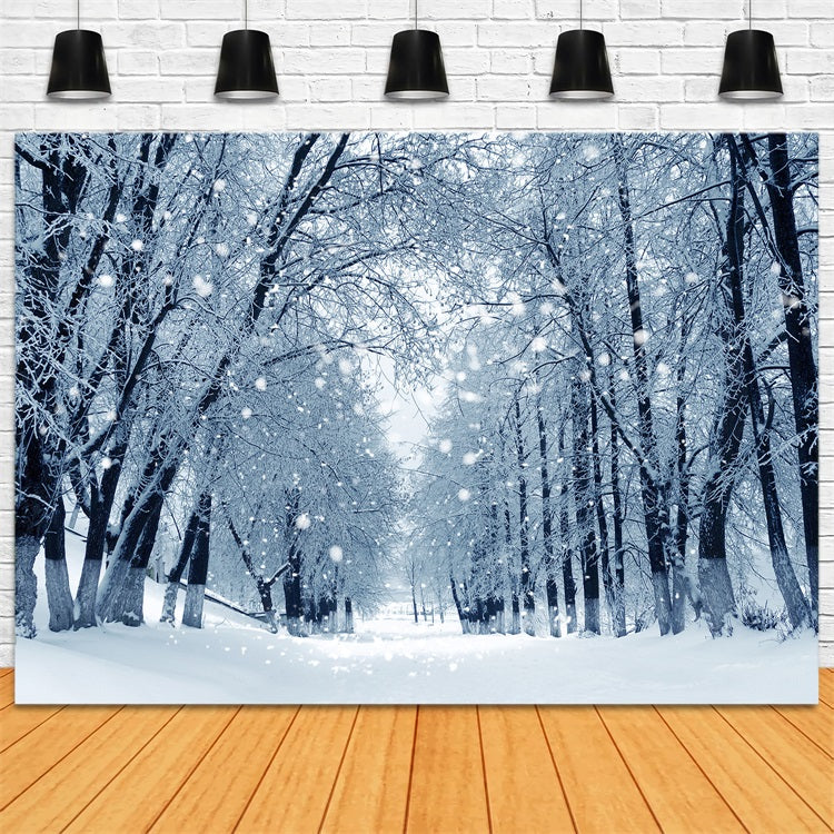 Snowy Path Enchanted Winter Forest Backdrop UK BRP9-324