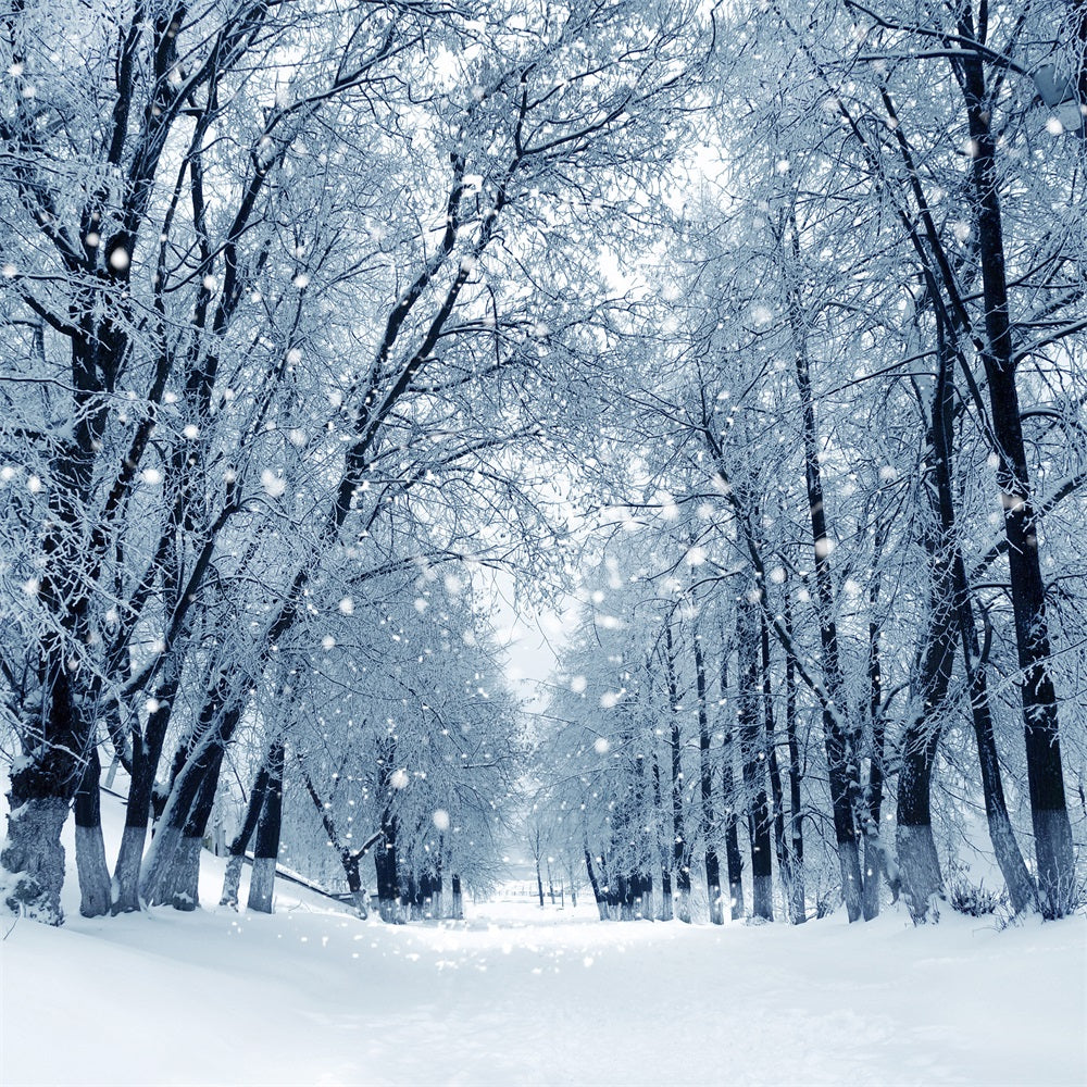 Snowy Path Enchanted Winter Forest Backdrop UK BRP9-324