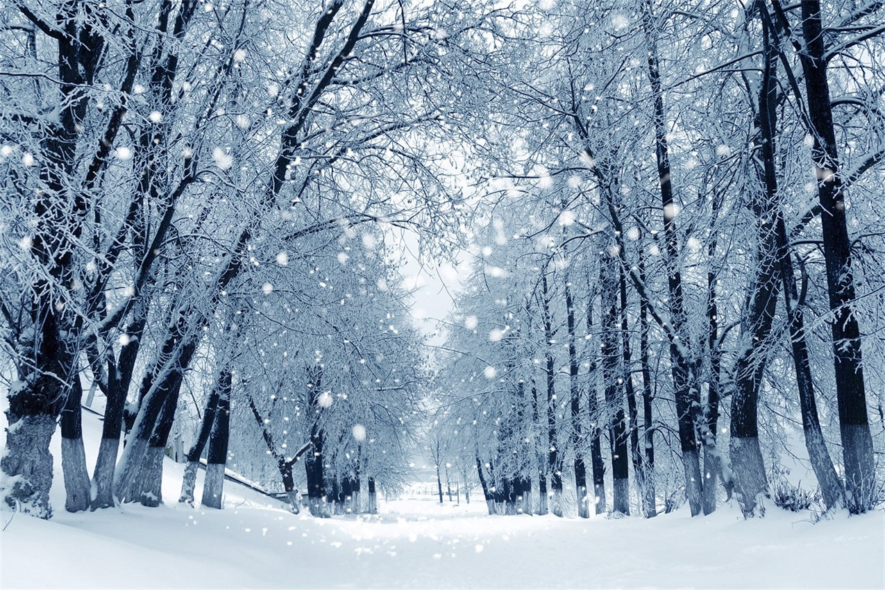 Snowy Path Enchanted Winter Forest Backdrop UK BRP9-324