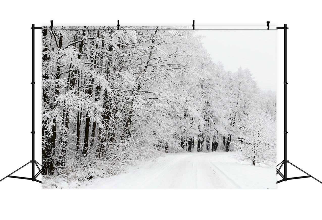 Snow Covered Forest Road Winter Wonderland Backdrop UK BRP9-325