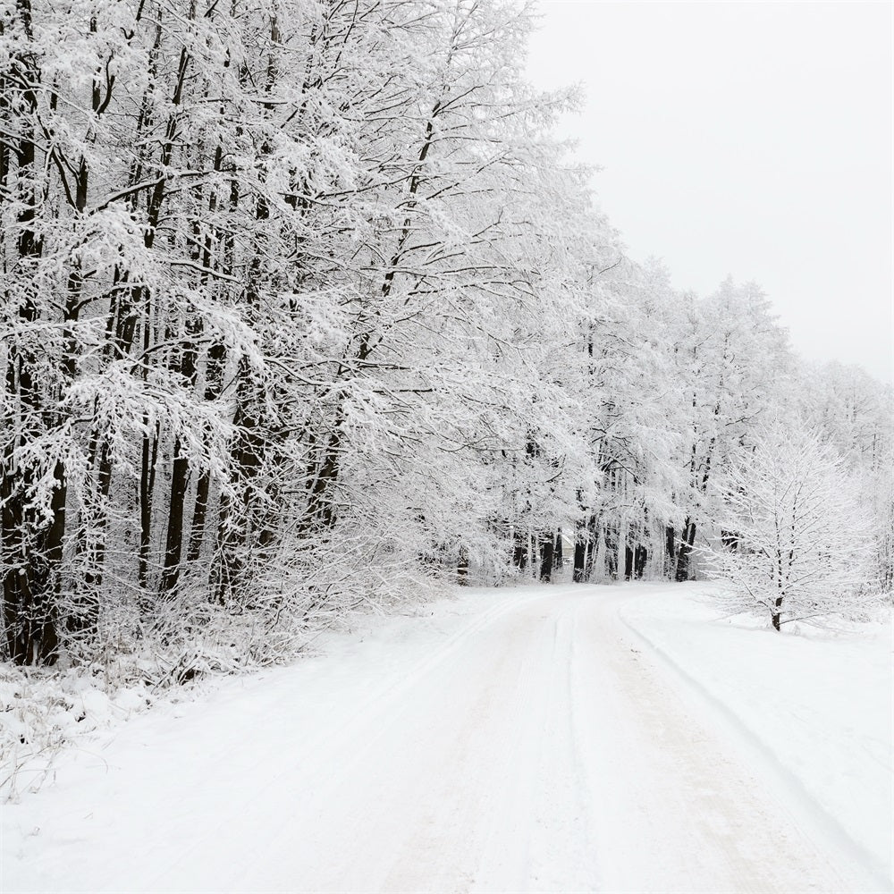 Snow Covered Forest Road Winter Wonderland Backdrop UK BRP9-325