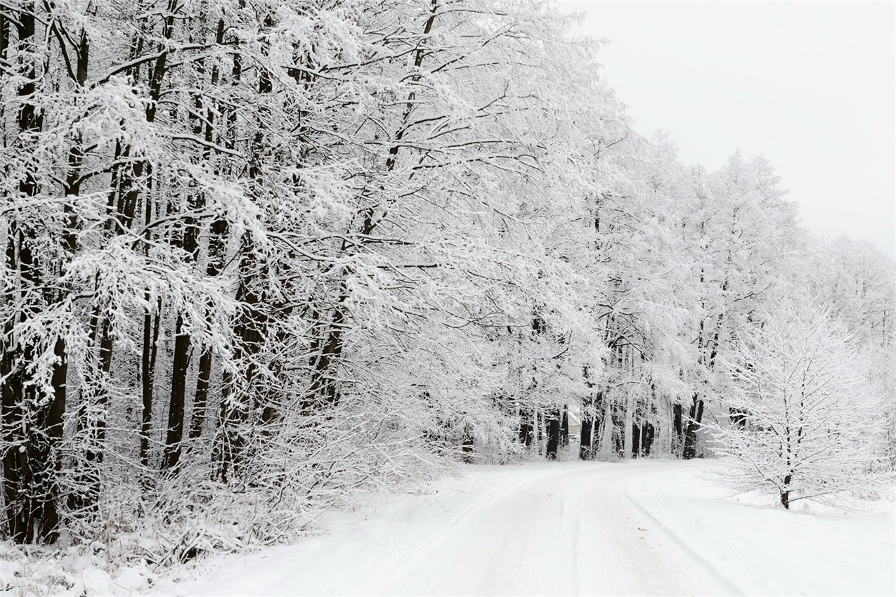 Snow Covered Forest Road Winter Wonderland Backdrop UK BRP9-325