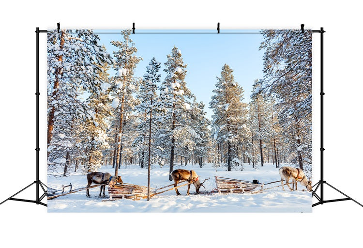 Reindeer Sledding Through Winter Pines Backdrop UK BRP9-326