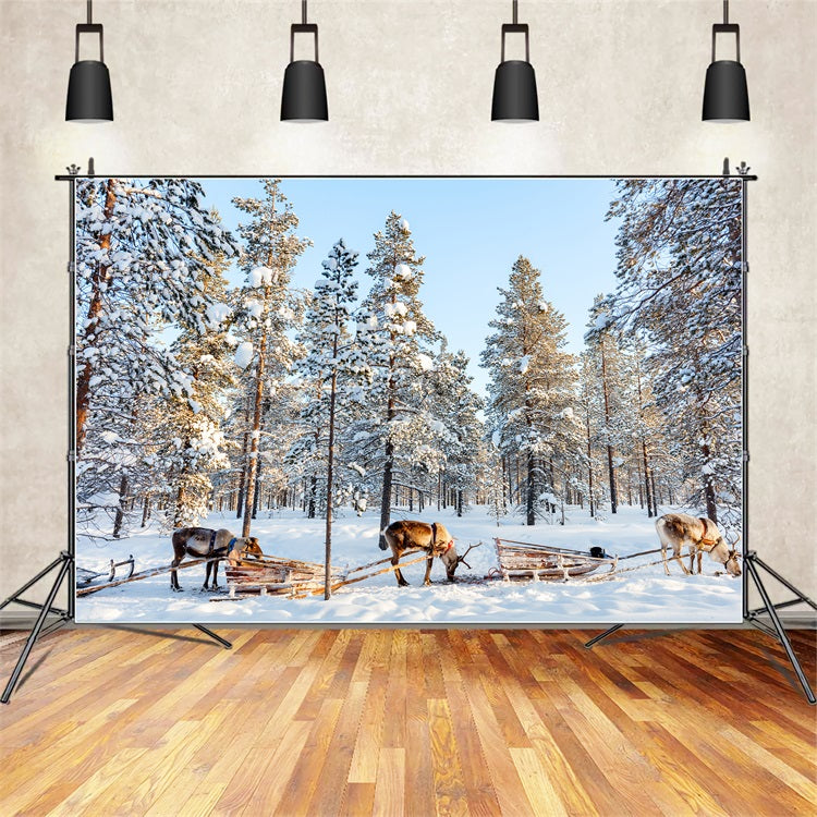 Reindeer Sledding Through Winter Pines Backdrop UK BRP9-326