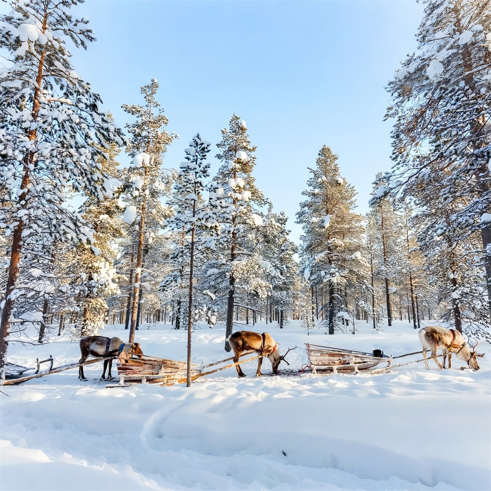 Reindeer Sledding Through Winter Pines Backdrop UK BRP9-326