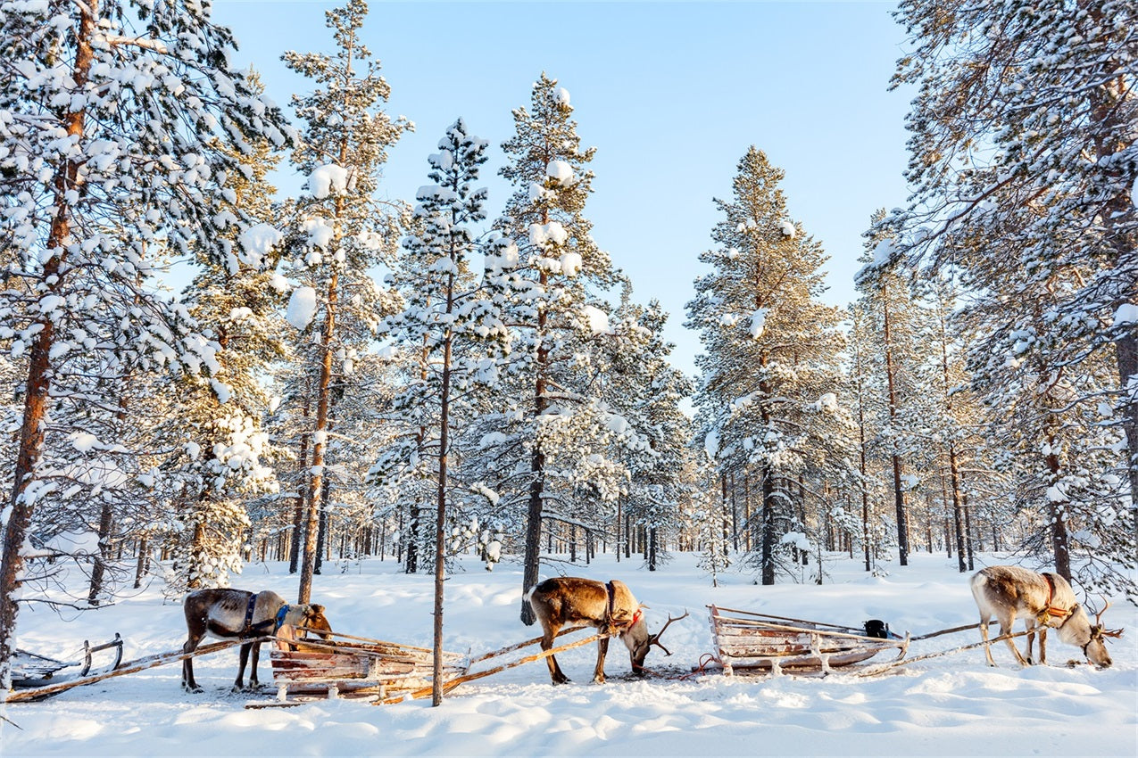 Reindeer Sledding Through Winter Pines Backdrop UK BRP9-326