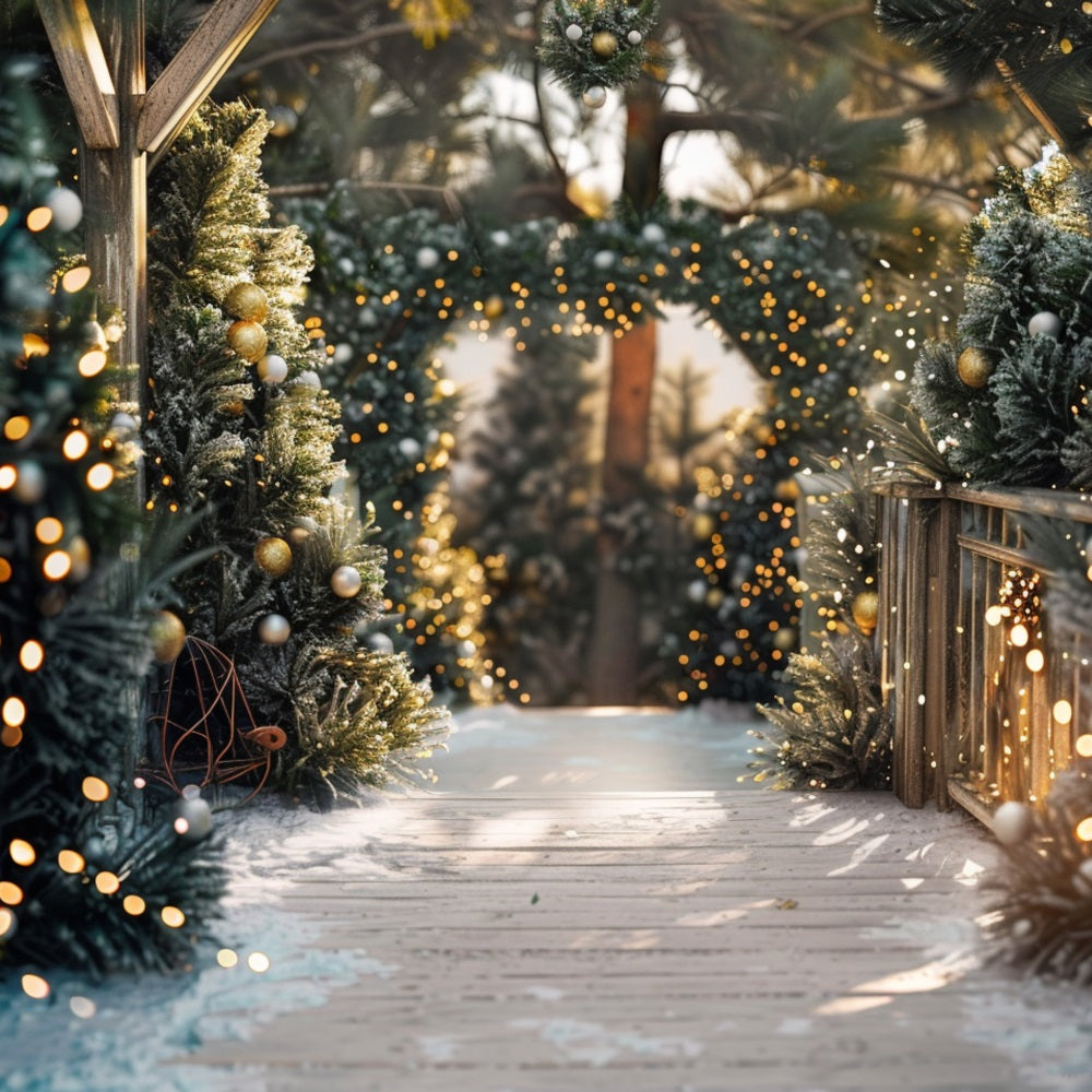 Winter Walkway Decorated Christmas Lights Backdrop UK BRP9-334