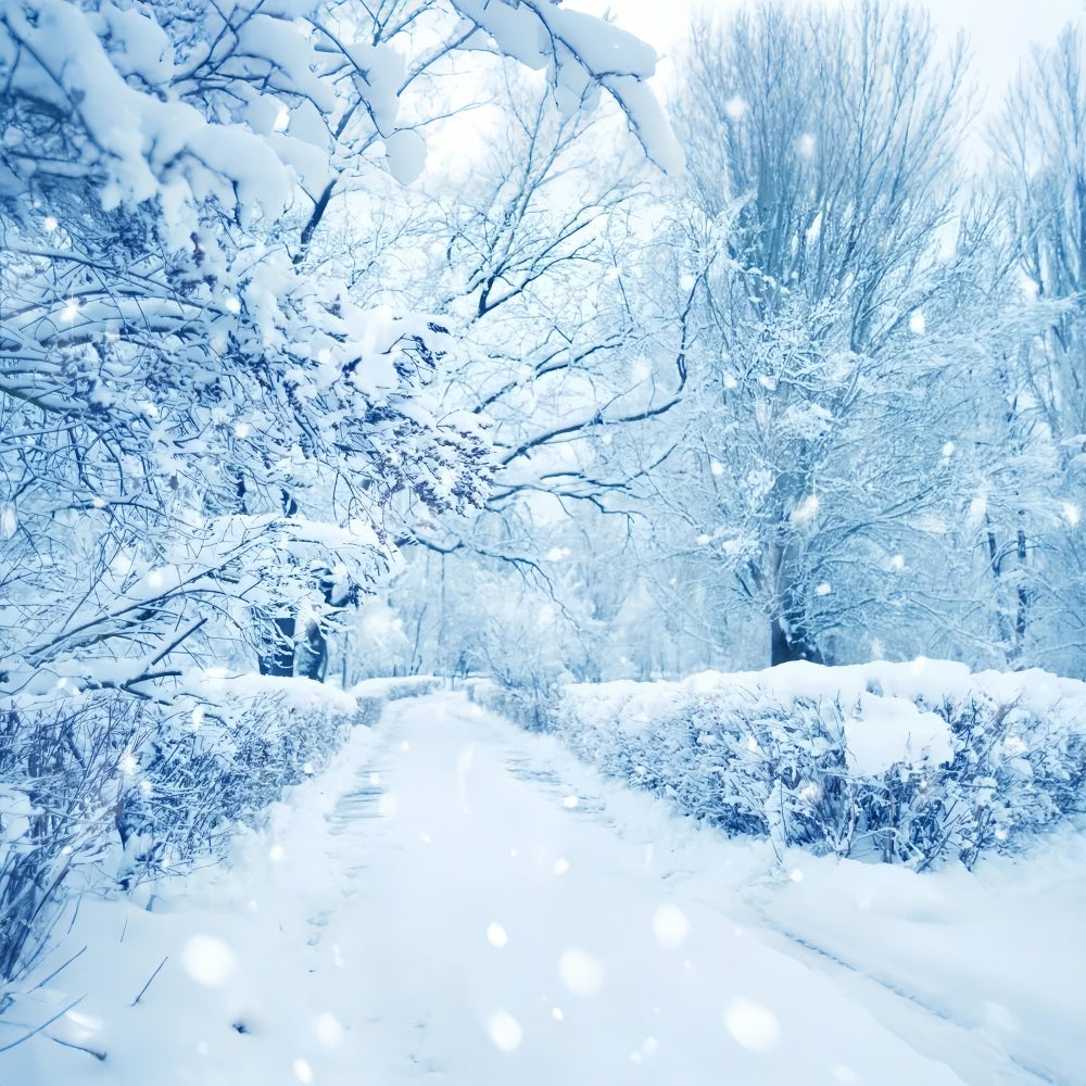 Snowy Trees Frosted Forest Winter Wonderland Backdrop UK BRP9-354