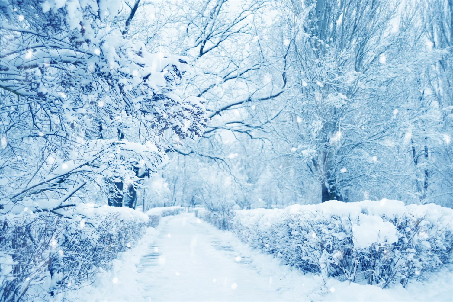 Snowy Trees Frosted Forest Winter Wonderland Backdrop UK BRP9-354