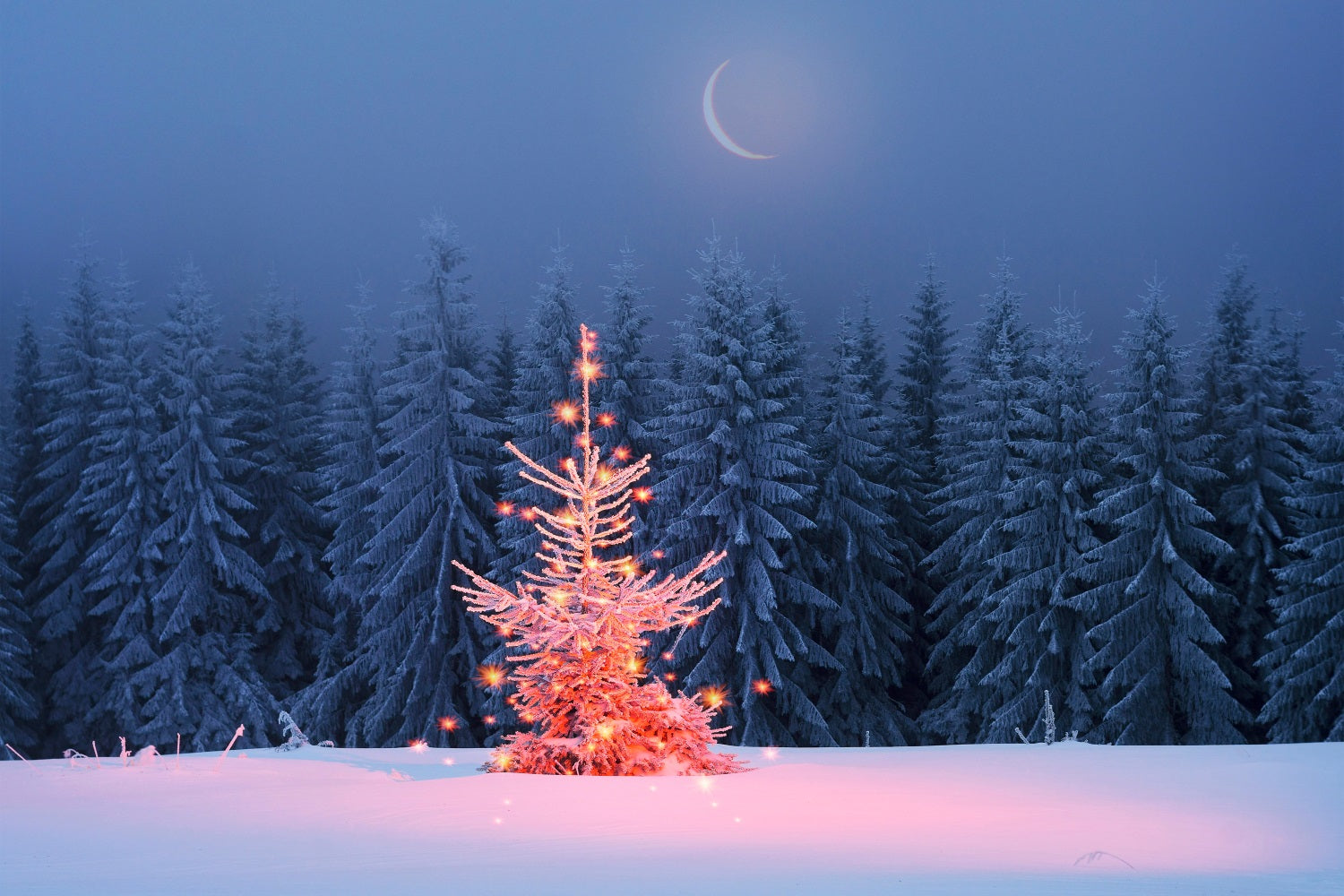 Winter Moonlit Sparkling Christmas Tree Backdrop UK BRP9-365