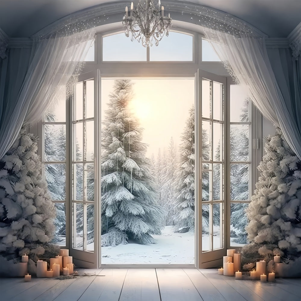 Elegant Frosted Window Opening Winter Forest Backdrop UK BRP9-375