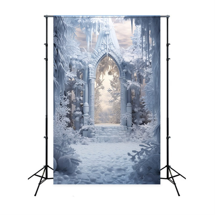 Snowy Winter Arch Surrounded Icy Trees Backdrop UK BRP9-378