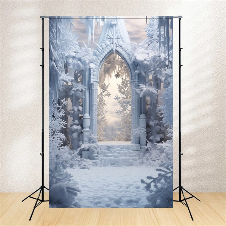 Snowy Winter Arch Surrounded Icy Trees Backdrop UK BRP9-378