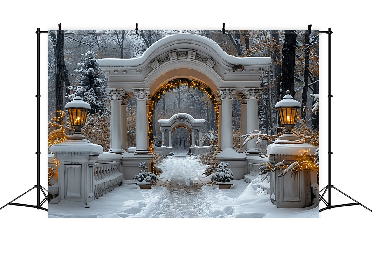 Twinkling Christmas Lights on Snowy Archway Backdrop UK BRP9-88