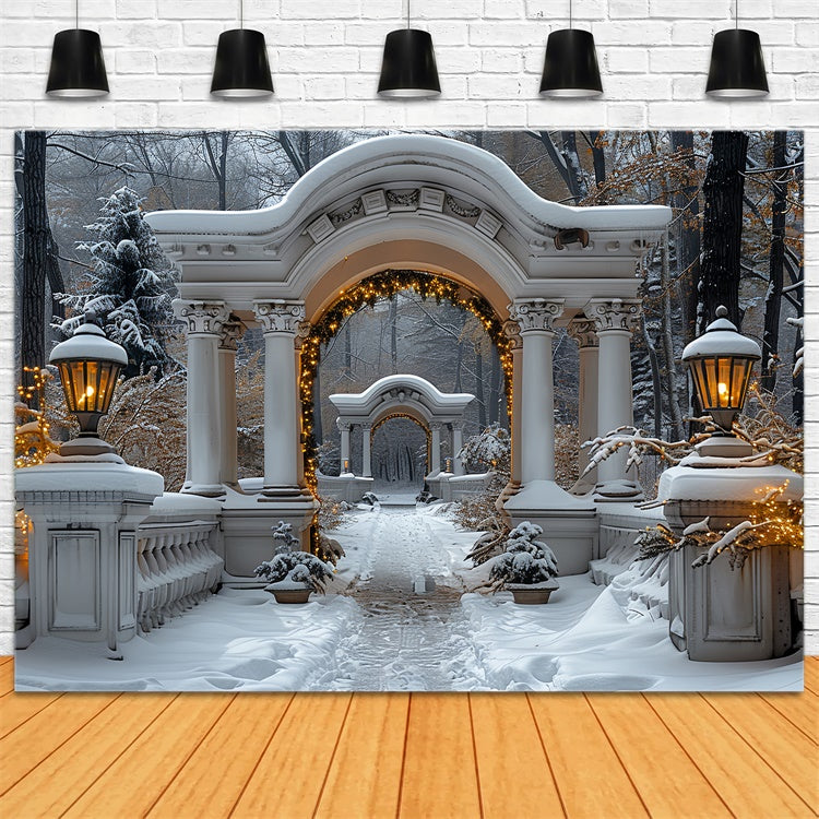 Twinkling Christmas Lights on Snowy Archway Backdrop UK BRP9-88