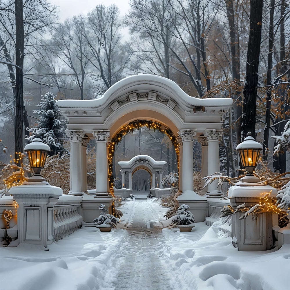 Twinkling Christmas Lights on Snowy Archway Backdrop UK BRP9-88