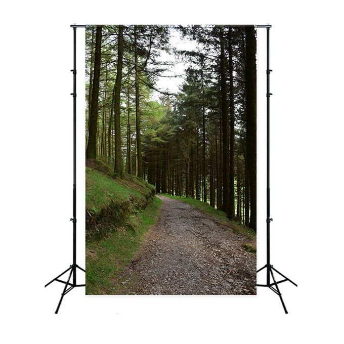 Woodland Photo Backdrop Rustic Woodland Gravel Path Backdrop UK CJJ2-118