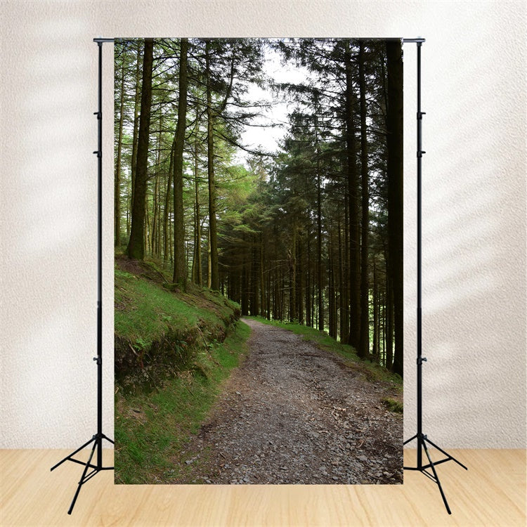 Woodland Photo Backdrop Rustic Woodland Gravel Path Backdrop UK CJJ2-118