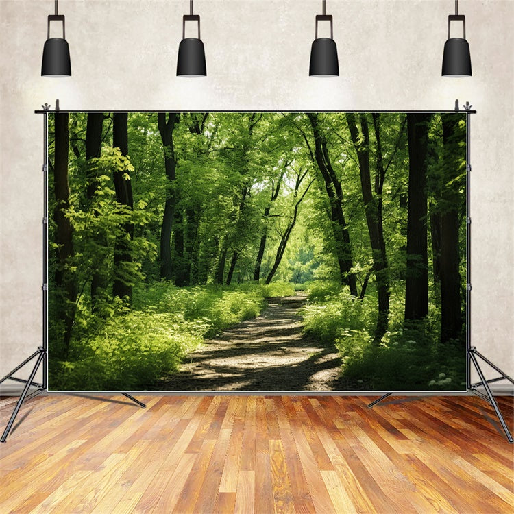 Woodland Photo Backdrop Lush Woodland Sunlit Trail Backdrop UK CJJ2-121