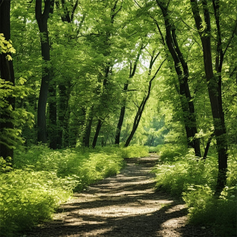 Woodland Photo Backdrop Lush Woodland Sunlit Trail Backdrop UK CJJ2-121