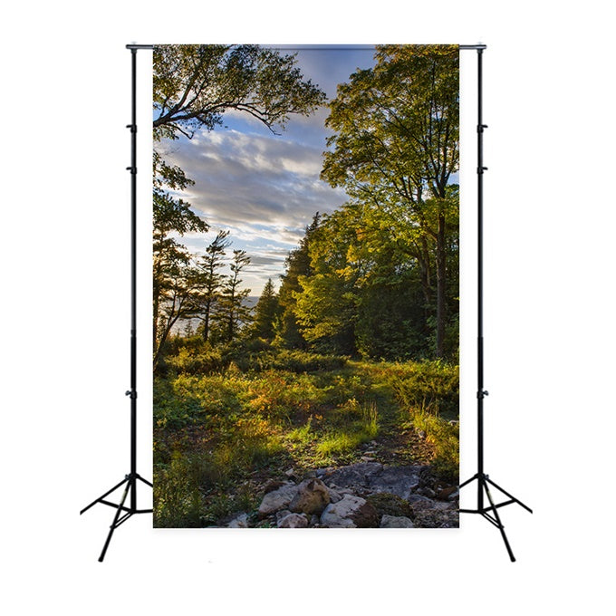 Wilderness Backdrop Rustic Sunset Trees Sky Backdrop UK CJJ2-127