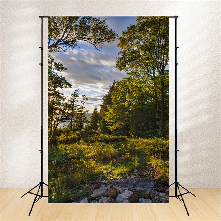 Wilderness Backdrop Rustic Sunset Trees Sky Backdrop UK CJJ2-127