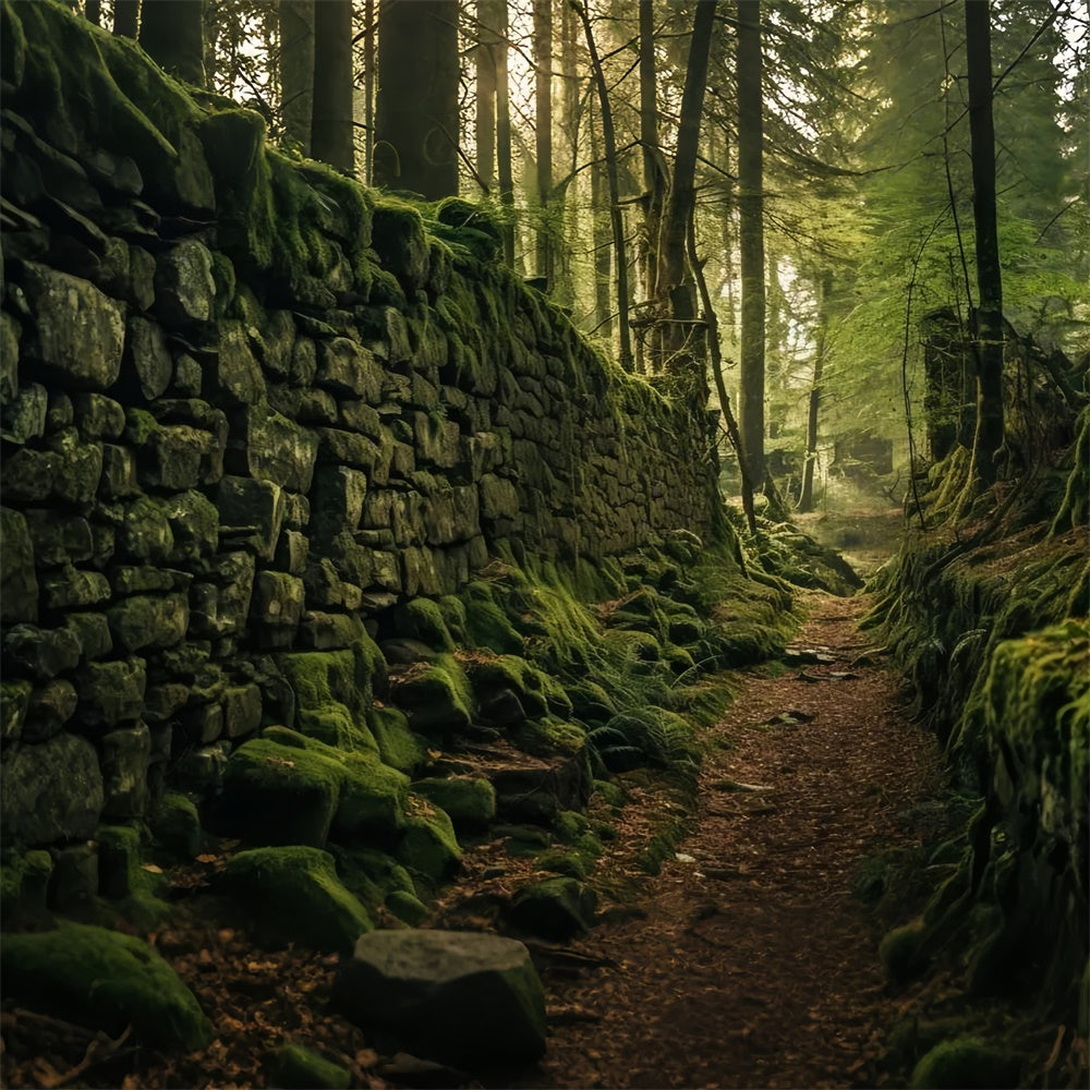 Forest Backdrop Photography Mossy Stone Wall Pathway Backdrop UK CJJ2-128