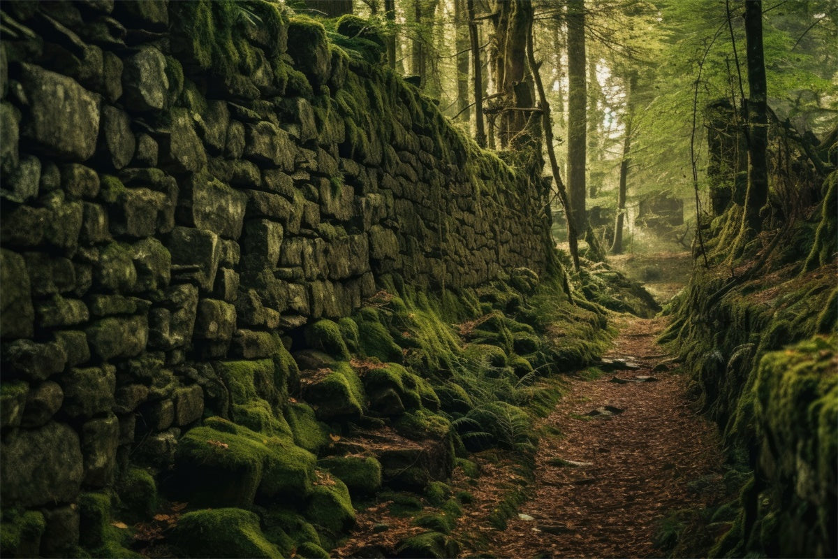 Forest Backdrop Photography Mossy Stone Wall Pathway Backdrop UK CJJ2-128