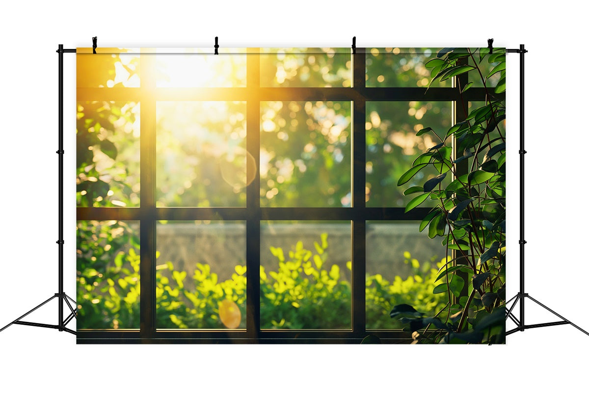 Photography Backdrops Forest Sunlit Greenery Cozy Window Backdrop UK CJJ2-29