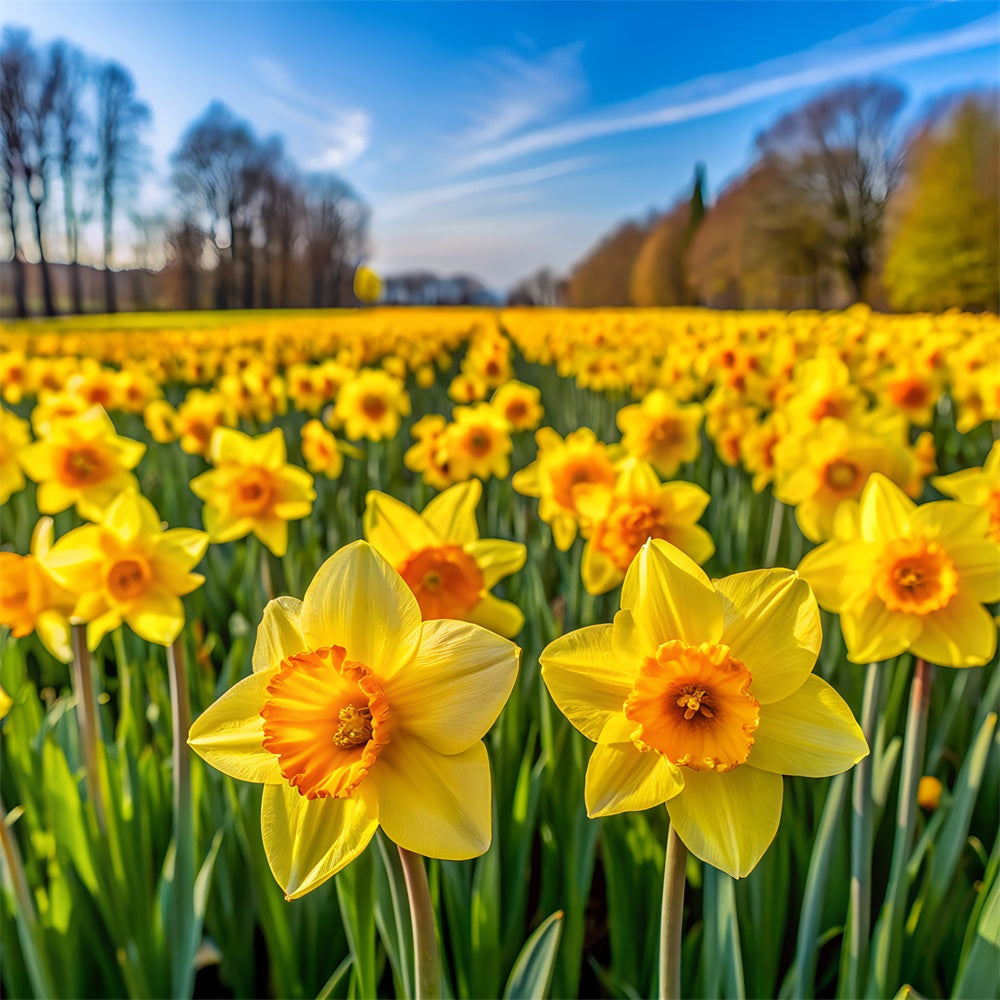 Daffodil Backdrop Bloom Floral Photo Backdrop UK CJJ2-3