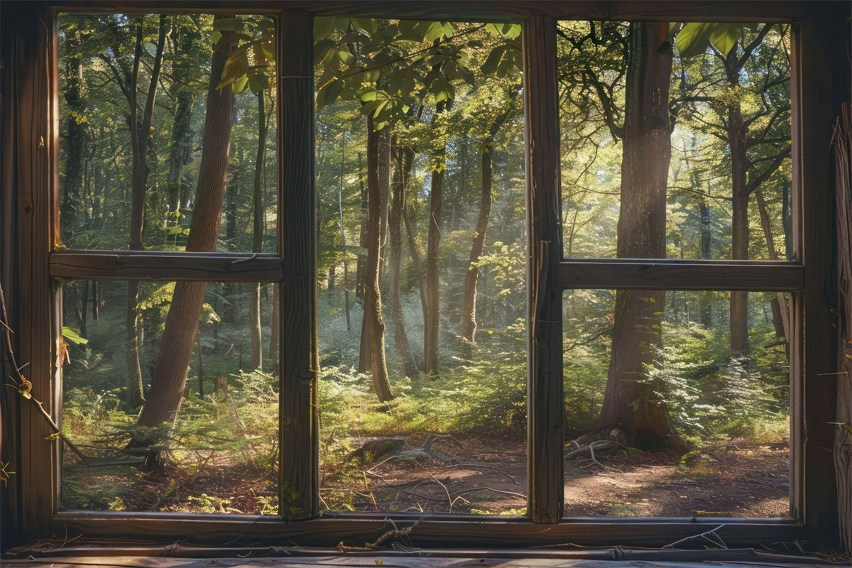 Woodland Backdrops Tranquil Woodland Window Scene Backdrop UK CJJ2-30