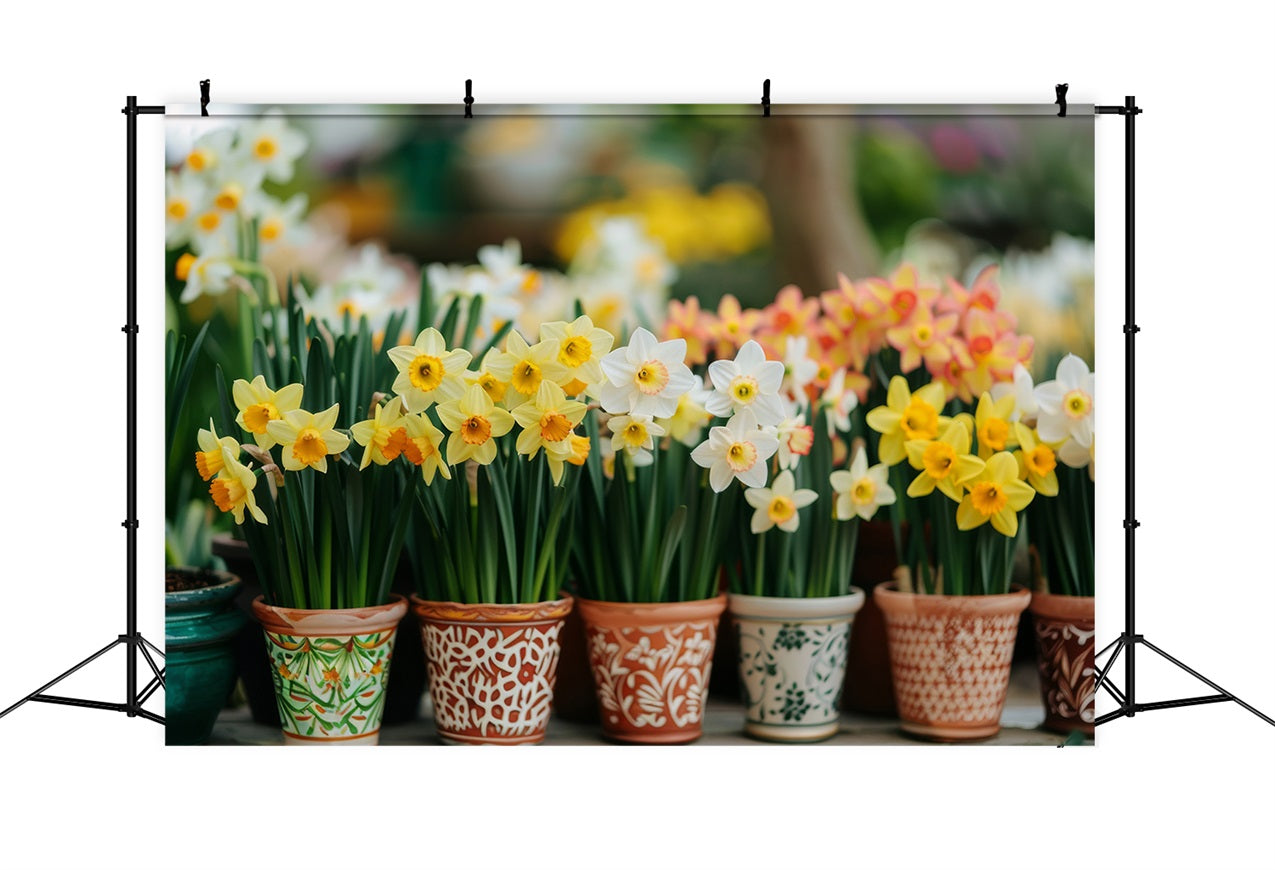 Daffodil Backdrop Potted Spring Flower Backdrops UK CJJ2-4