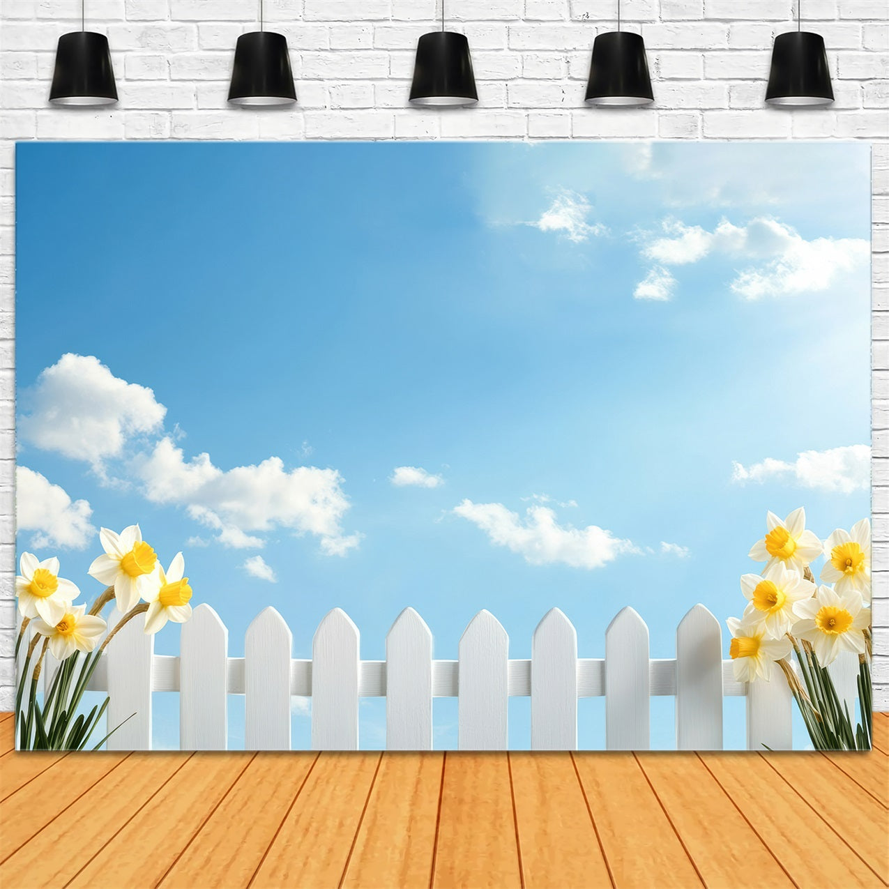 Daffodil Backdrop Blue Sky White Fence Flower Backdrop UK CJJ2-9